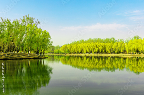 Fototapeta Naklejka Na Ścianę i Meble -  China Beijing Summer Palace misty lake and tree view
