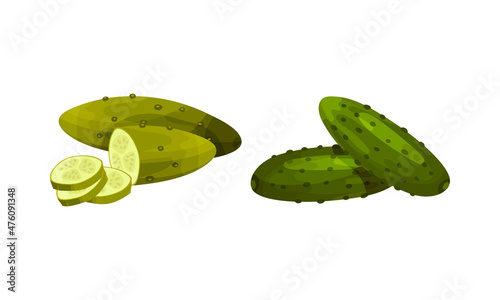 Fresh and pickled cucumber vegetables set. Ingredients for burger and sandwich vector illustration