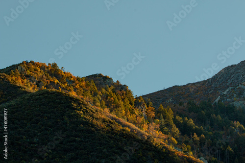 Beautiful scenery of the Fall colors in the Huachuca Mountains with a clear sky