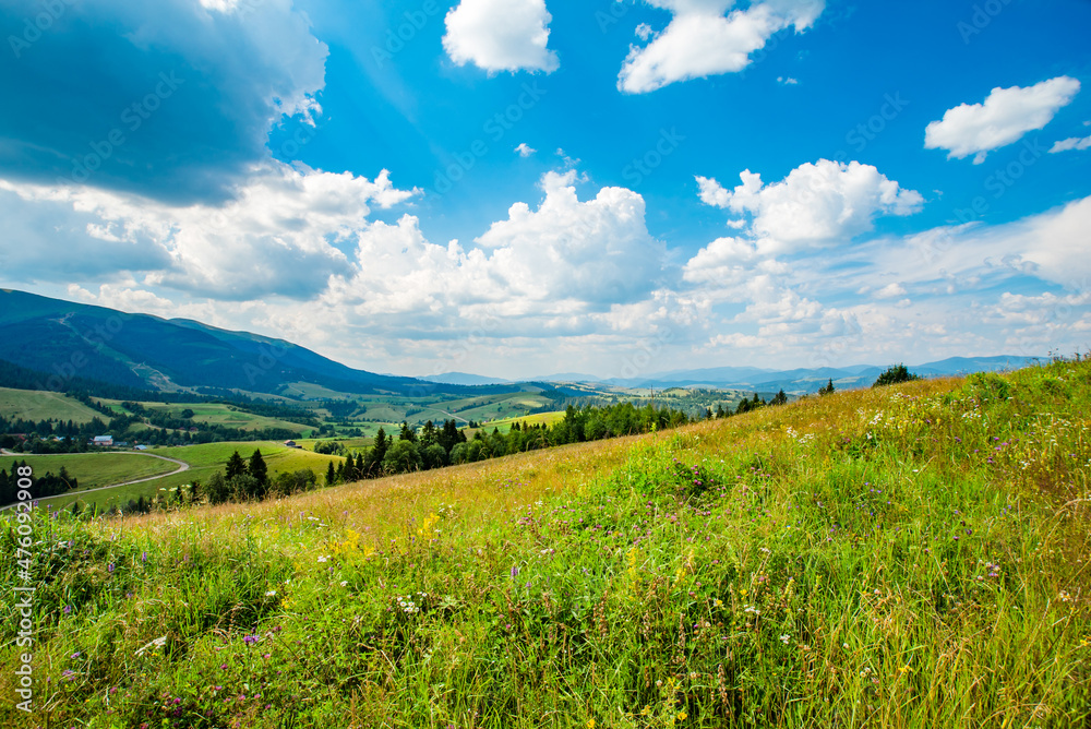 beautiful countryside. sunny day. beautiful spring landscape in the mountains. grassy fields and hills. rural landscapes of mountains and coniferous forests and blue sky with white clouds.