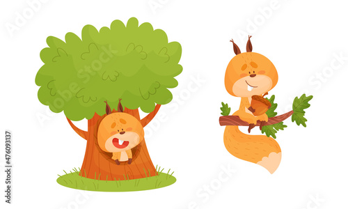 Cute squirrel various activities set. Lovely forest animal character sitting in hollow tree and tree branch vector illustration