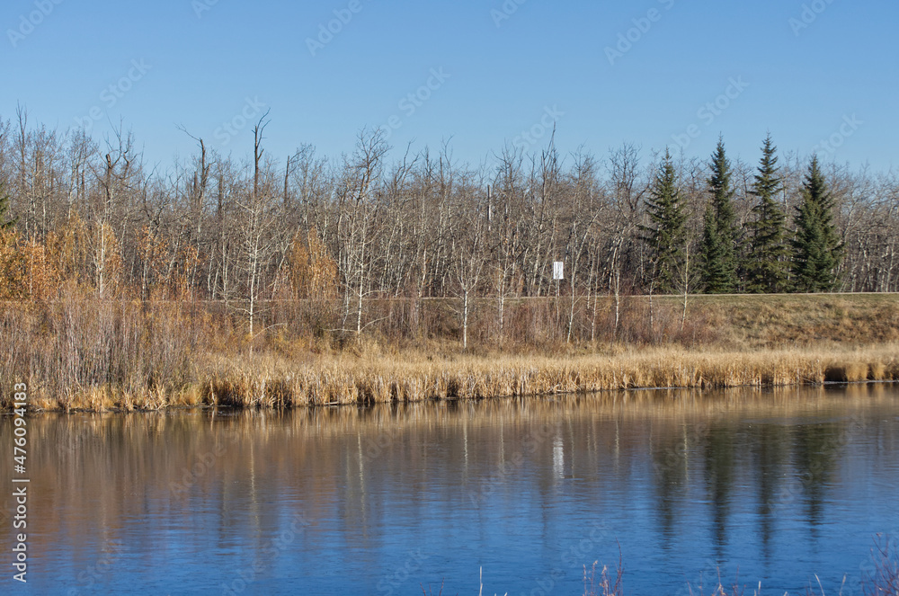Pylypow Wetlands on a Clear Autumn Day