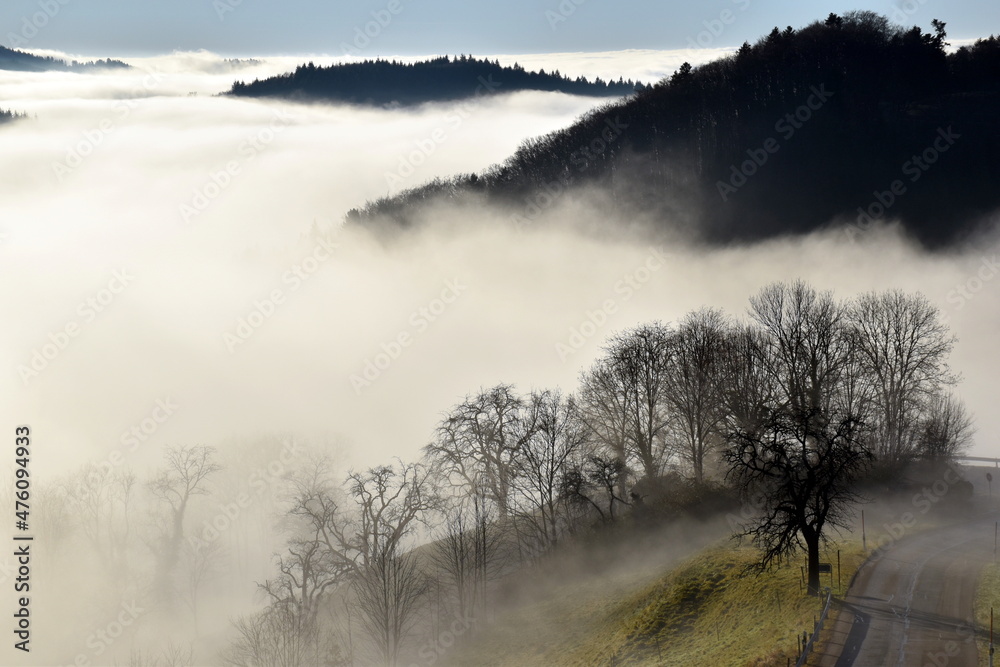 Sonne bricht durch den Nebel im Schwarzwald