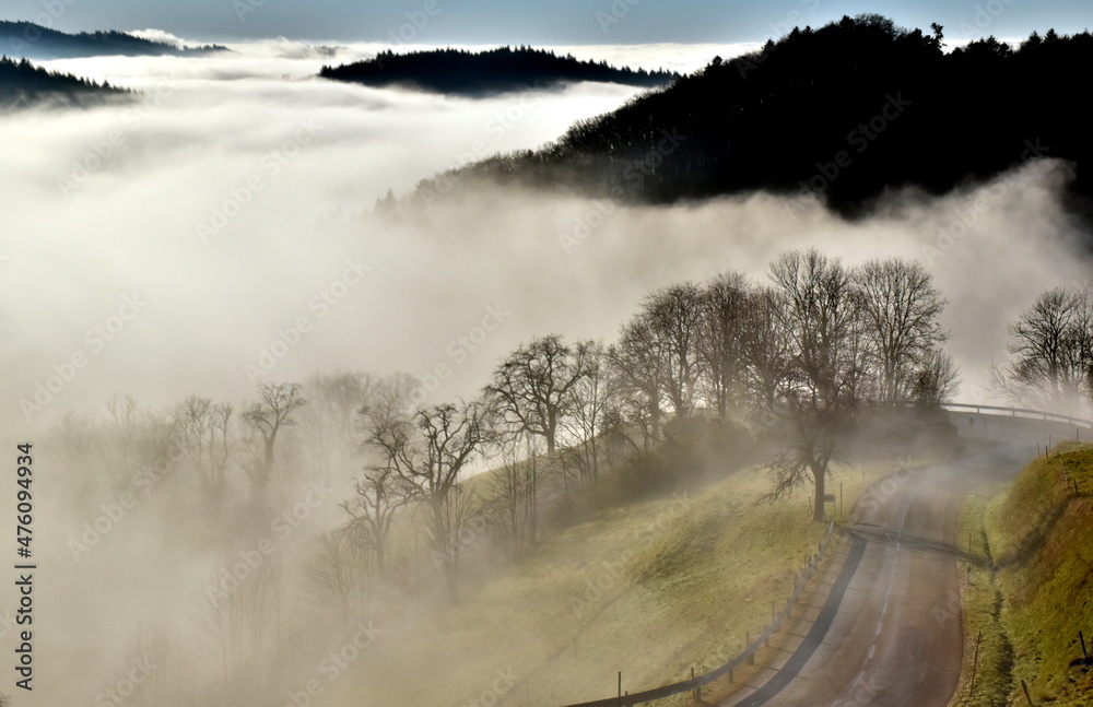 Fototapeta premium Sonne bricht durch den Nebel im Schwarzwald