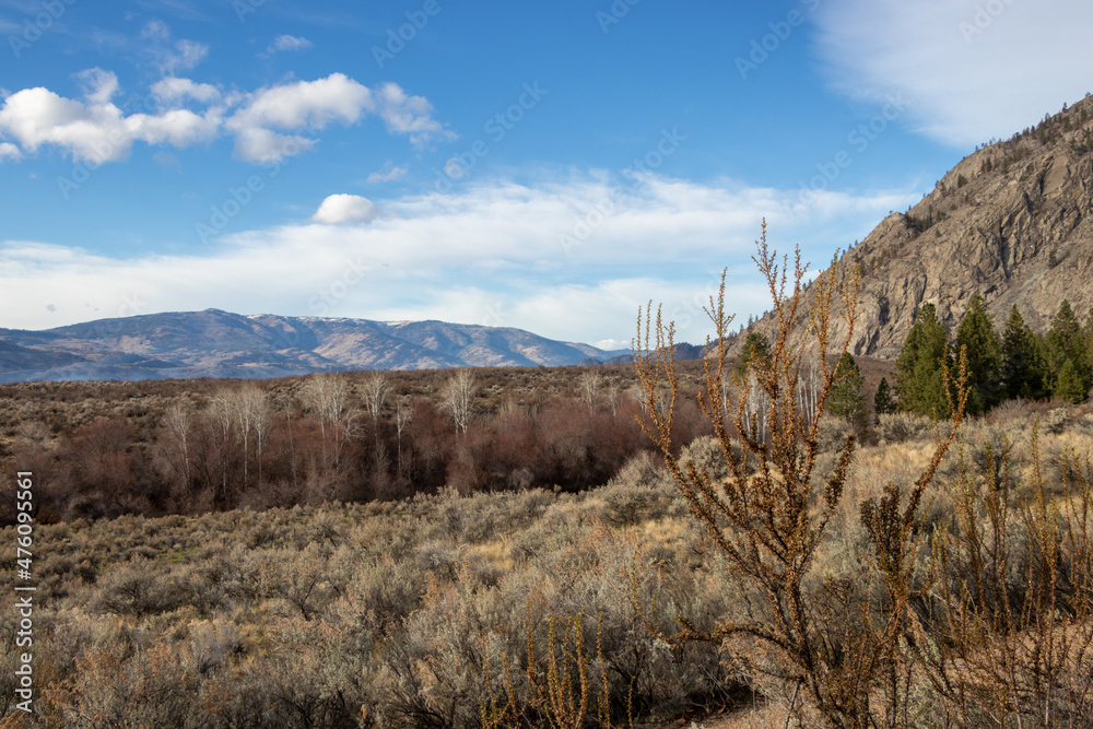 autumn in a desert valley in British Columbia