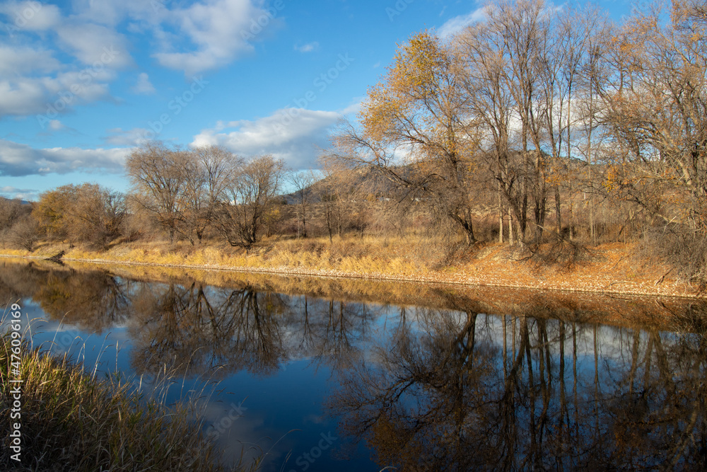 Trees reflecting in the Okanagan River in autumn Trees reflecting in the Okanagan River in autumn