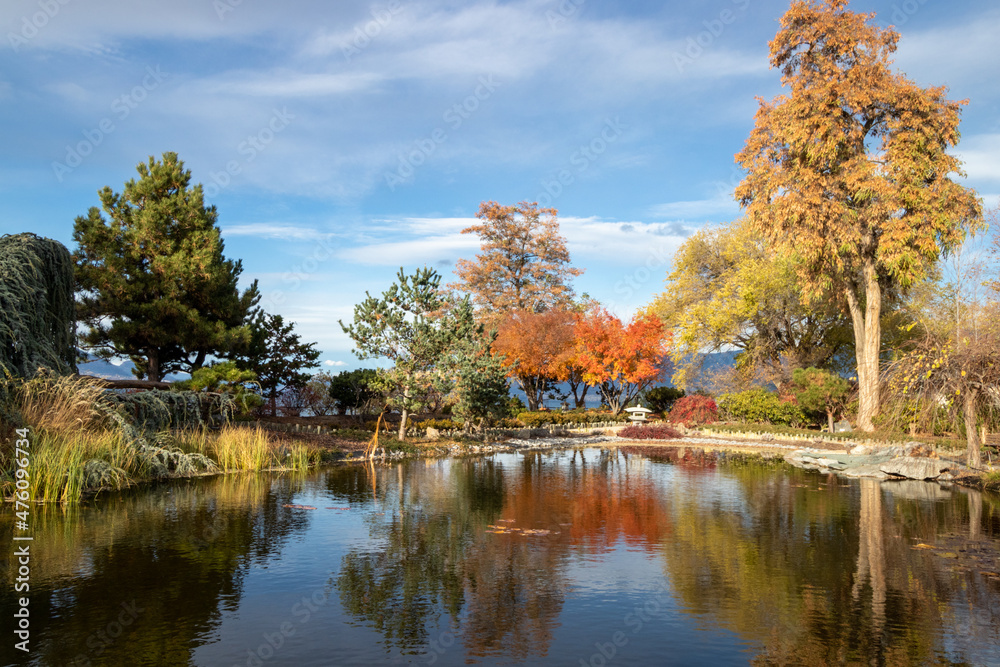 autumn landscape with pond and trees in the Japanese Garden in Penticton, BC