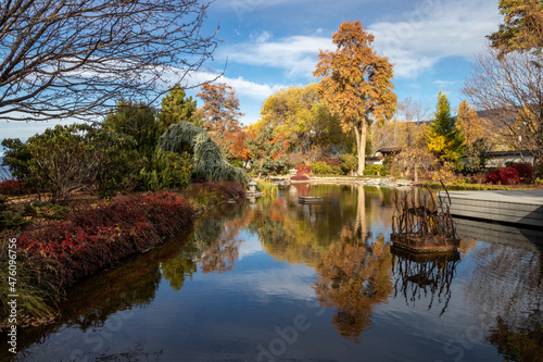 Ikeda Japanese Garden in autumn in Penticton, BC photo