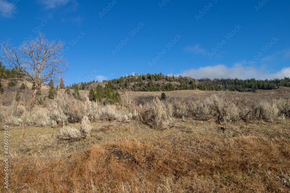 Grasslands and sage bush in the mountains