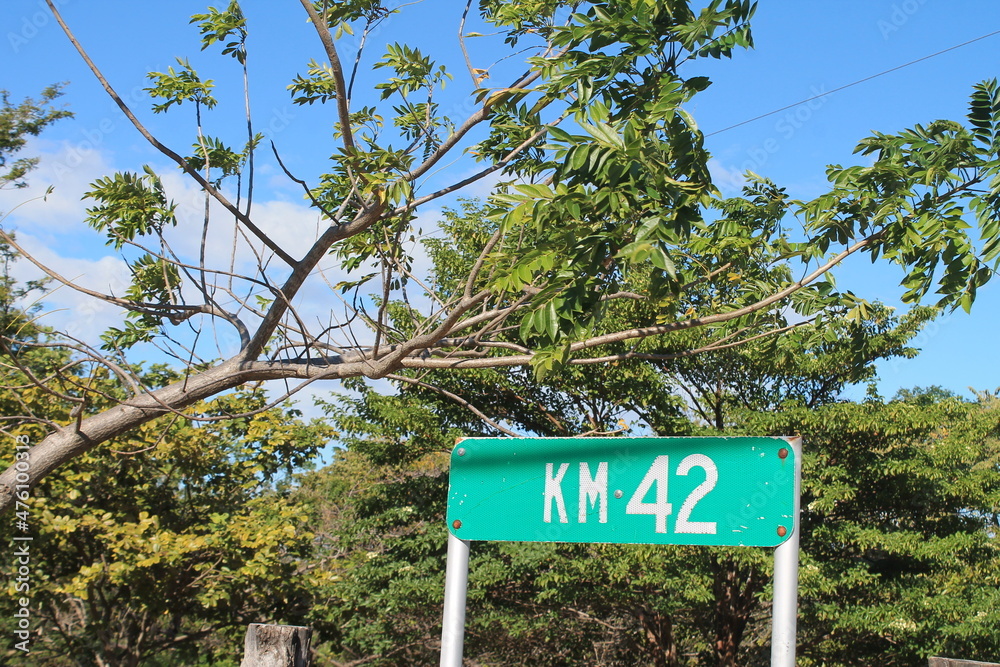 Fototapeta premium Rotulo 