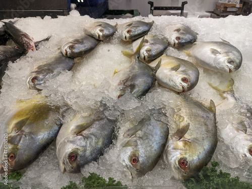 Whole raw Tilapia fishes for sale at a fish market
