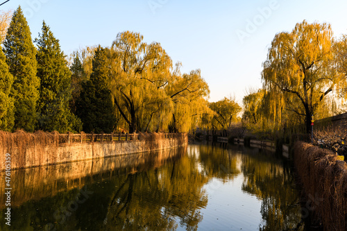 China Beijing Summer Palace misty lake and tree view