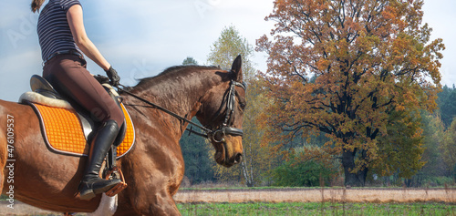 Horse riding, horsemanship. Riding a horse against the backdrop of the autumn landscape. Natural riding. Sports, hobbies © Ella