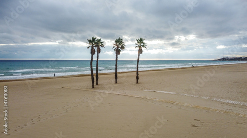Cuatro Palmeras solas en la playa en un día nublado con el mar en calma photo