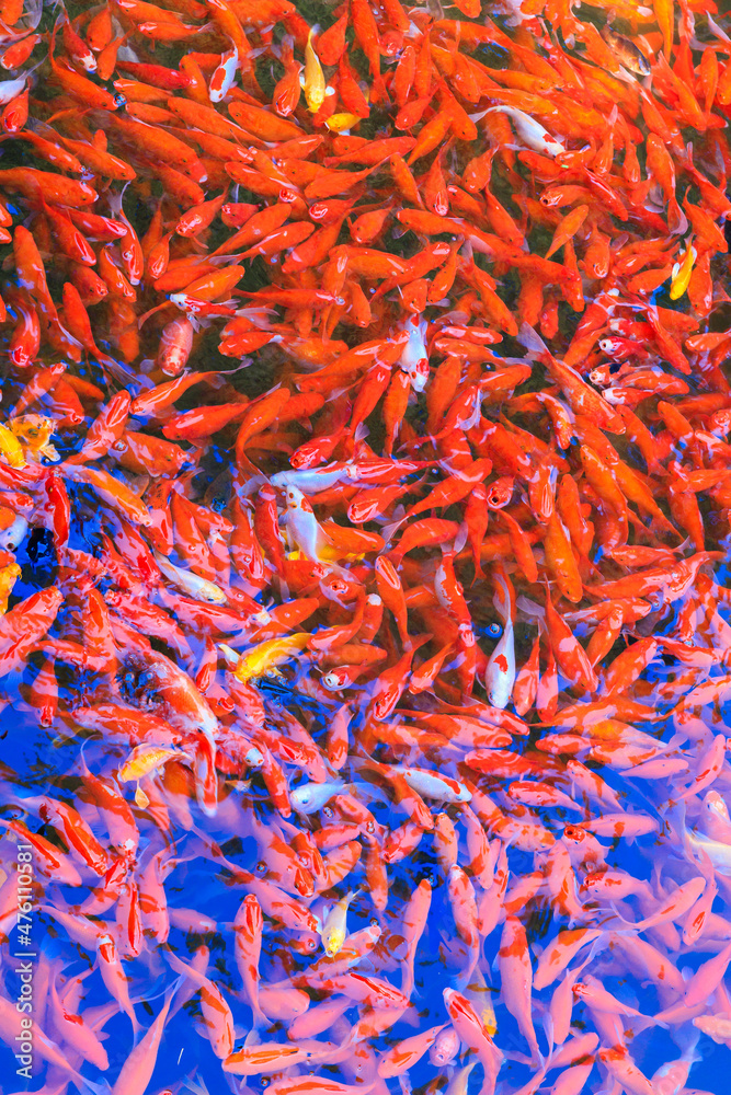 Fototapeta premium China Beijing summer palace lake wonderful view 