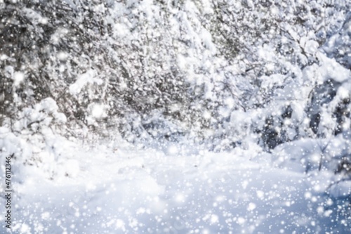 Winter snow is falling in the forest. Snow covered trees. Frosty, cold weather. © BillionPhotos.com