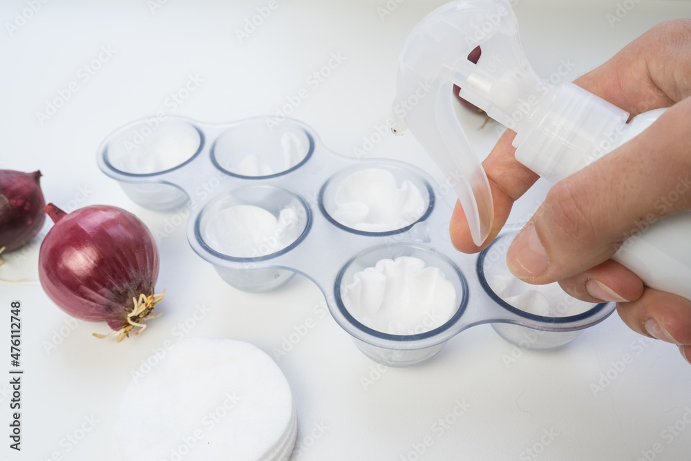 Fototapeta premium Red onions in egg trays for sprouting at home by the window.