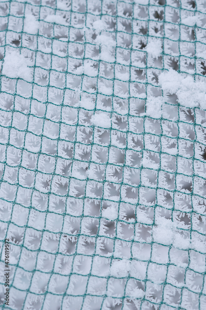 Siatka w szronie, zima, Chełmża, Polska