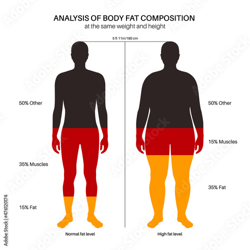 Body fat composition