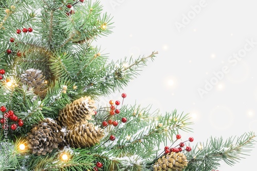 Beautiful green fir tree branches with gold lights decor.