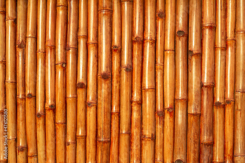 Bamboo fence close-up. Bamboo texture