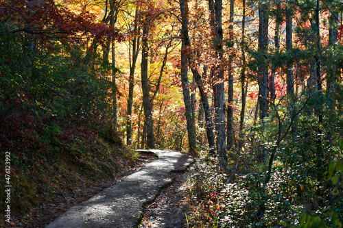 Autumn at Laurel Falls in Gatlinburg, Tennessee