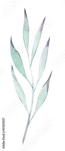 Mint realistic colorful leaf. Watercolor painting isolated object. Botanical illustration for holidays summer design, wedding invitation and birthday cards.