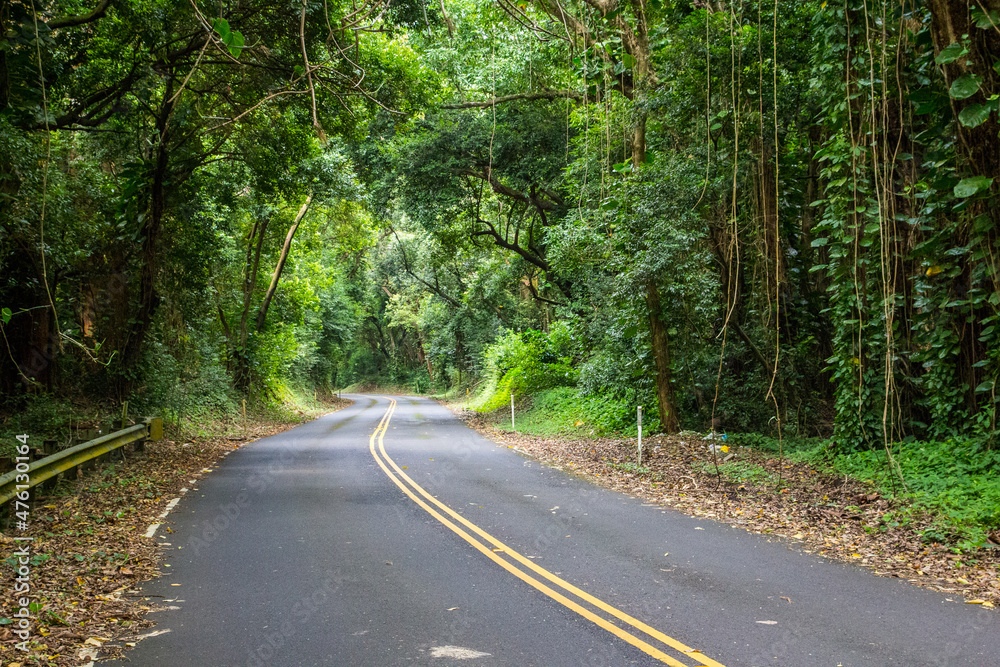 Fototapeta premium nuuanu pali highway on Oahu, Hawaii