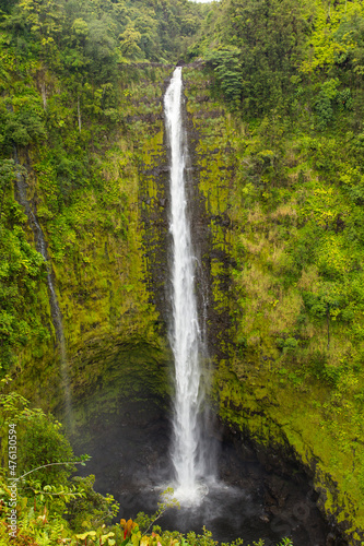 Waterfall - Akaka falls Hawaii