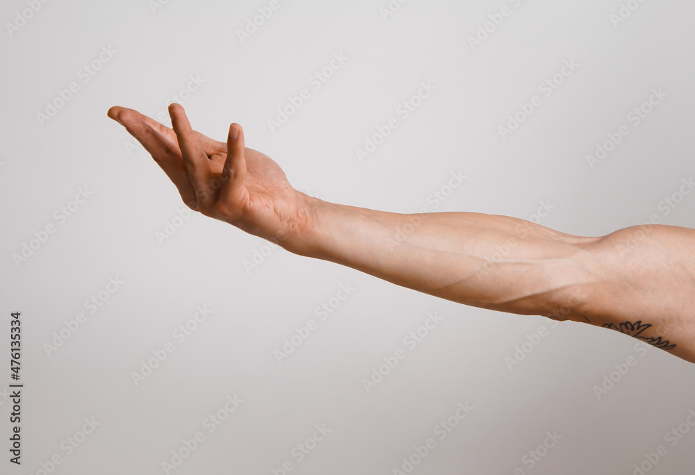 Human arm posing against grey background. Empty male hand. Strong hand pointing and posing. Human arm posing against grey background. Empty male hand. Strong hand pointing and posing.
