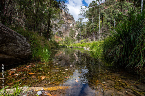 carnarvon gorge stream in the forest