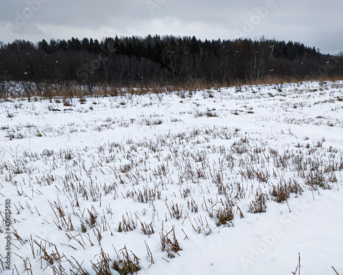snow covered field landscape