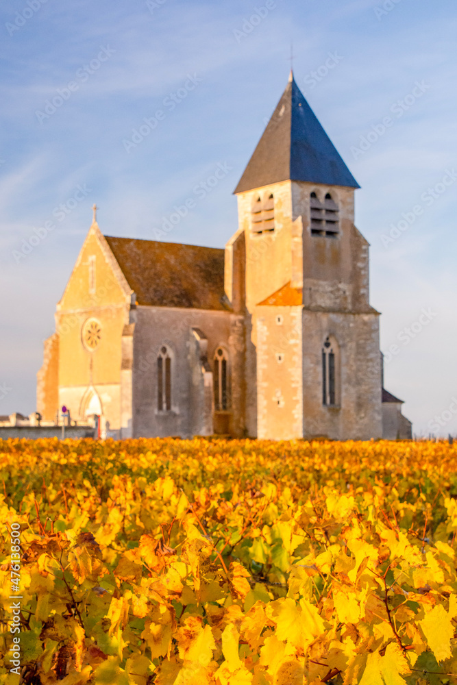church in the vineyards of chablis