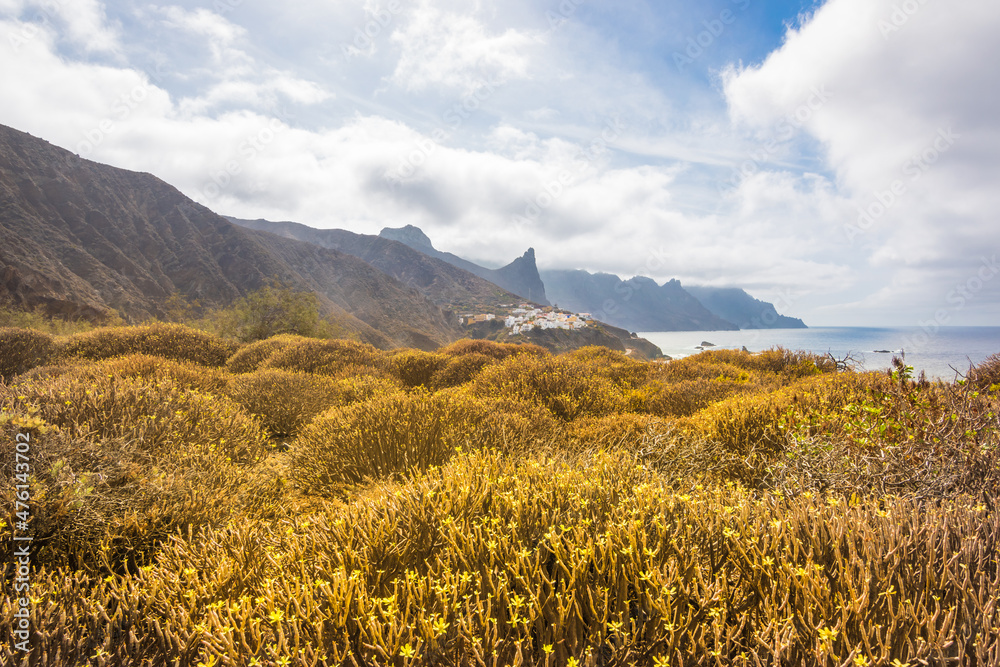 Fototapeta premium View of the beautiful Anaga Mountains and some yellow bushes from a viewpoint in Benijo, at Santa Cruz de Tenerife - Santa Cruz de Tenerife, Canary Islands, Spain
