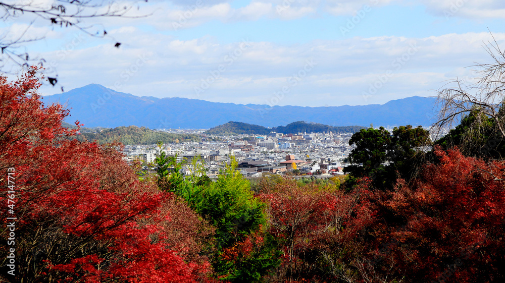 beautiful autumn leaves of Okochi Sanso in Kyoto