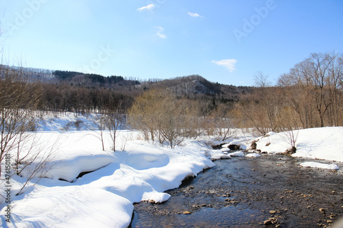 雪解けの川と雑木林 