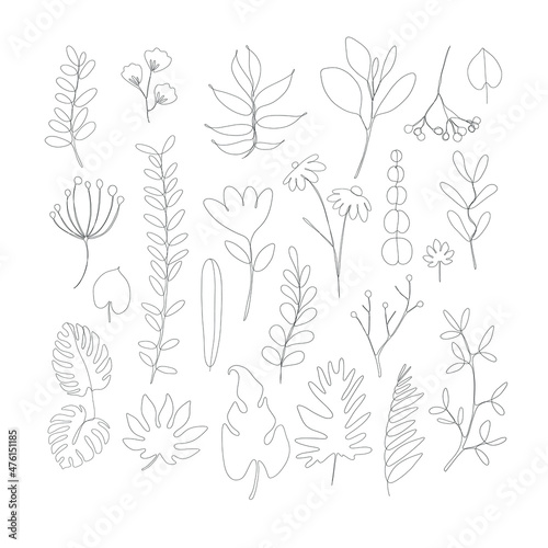 One line hand drawn plants, leaves, flowers. Vector illustration set isolated on white background. 