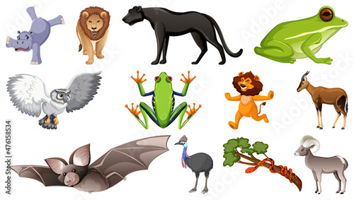 Set of different wild animals cartoon characters