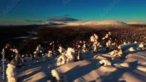 Aerial view over snowy forest with sunlit polar winter mountains background, in Lapland - tracking, drone shot photo