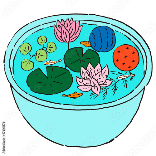 メダカと浮玉の入った睡蓮鉢