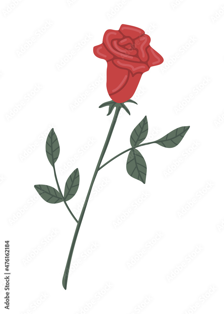 Vector isolated element. Flower. A red rose. Decoration for Valentine day. Symbols of Valentine's day. Color image on a white background. The print is used for packaging design.