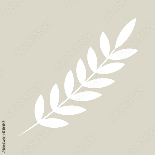 Christmas floral decorative elements for greeting cardsand and posters. Winter branch, berries, plants and floweres. Hand drawn vector illustration