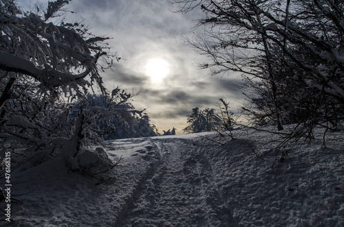 Fototapeta Naklejka Na Ścianę i Meble -  Bieszczady zima 