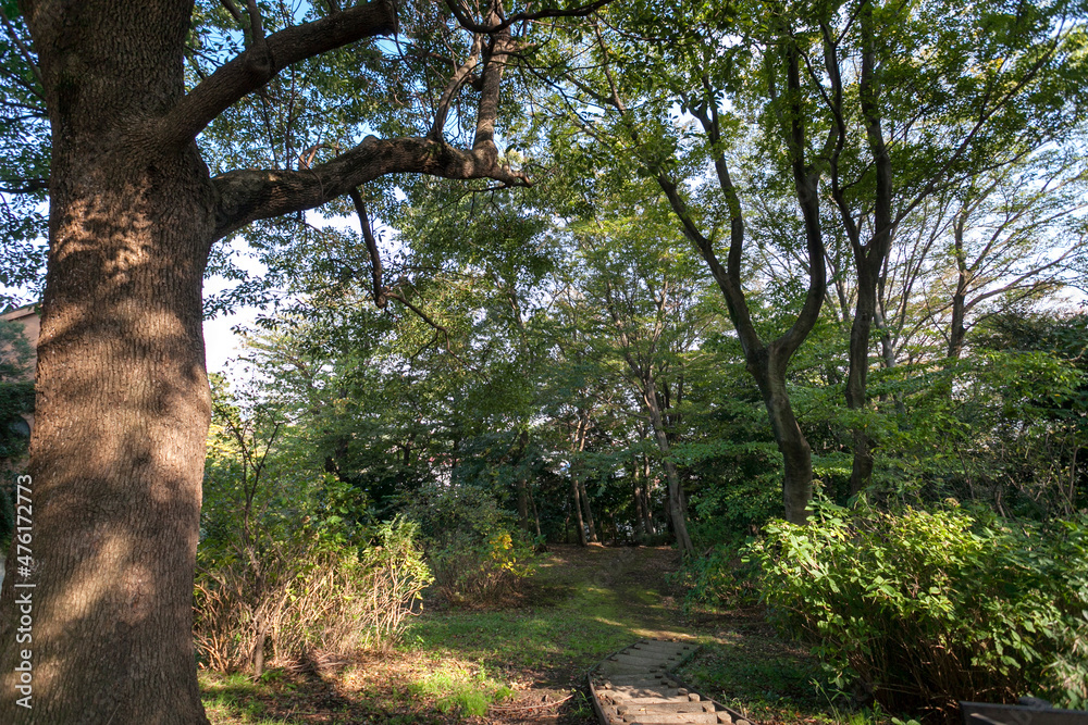 Obraz premium 森戸原第一公園（神奈川県横浜市港北区）
