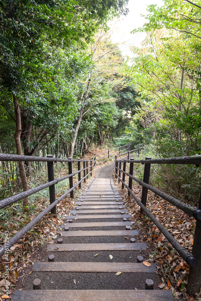 日吉の丘公園(神奈川県横浜市港北区箕輪町) 日吉の丘公園(神奈川県横浜市港北区箕輪町)