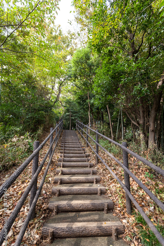 日吉の丘公園（神奈川県横浜市港北区箕輪町）