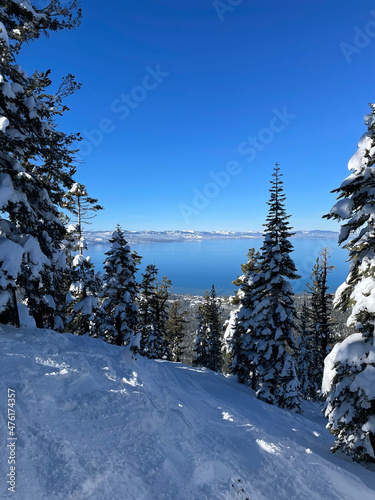 Scenic view of Lake Tahoe framed by snow covered trees on a bluebird winter day from Heavenly ski resort in South Lake Tahoe