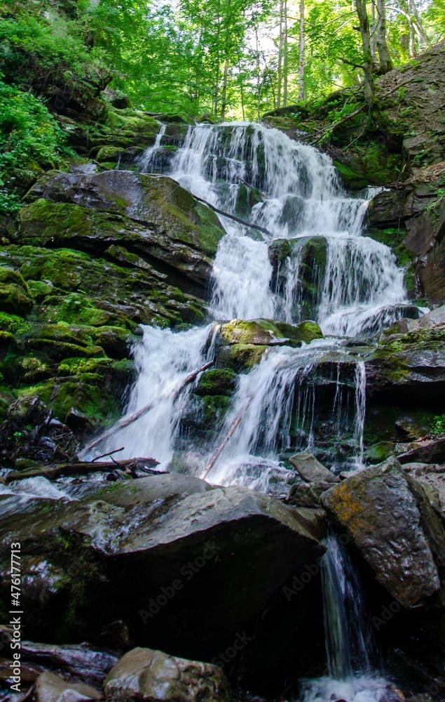 Fototapeta premium waterfall in the forest