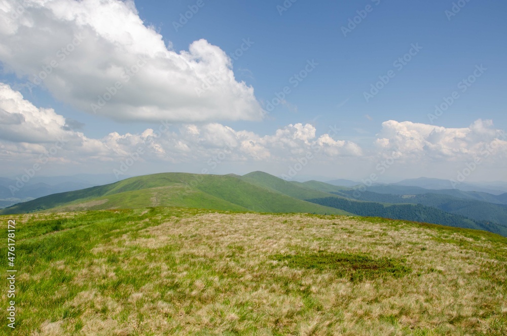 meadow and sky