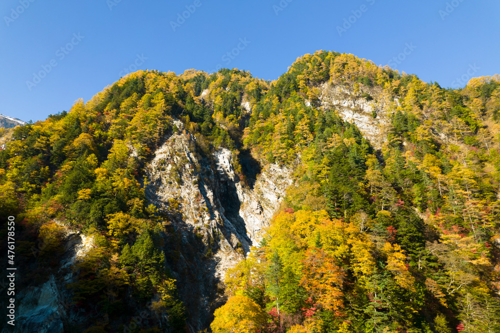 長野県大町市の紅葉真っ盛りの高瀬渓谷を、上空から空撮 長野県大町市の紅葉真っ盛りの高瀬渓谷を、上空から空撮